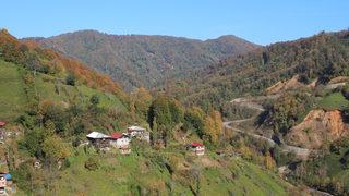 4 parti birden karşı çıkmıştı! Bal ormanına taş ocağı için bilirkişi raporu: Ekolojik denge yok olur
