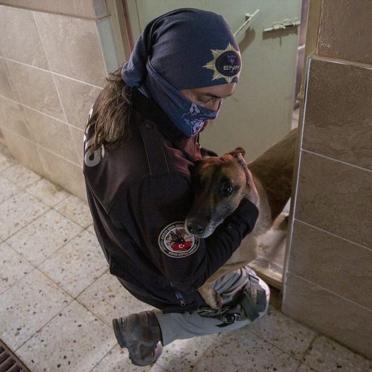 Polislerin can yoldaşı "hassas burunlar" suçluların "korkulu rüyası" oldu G3