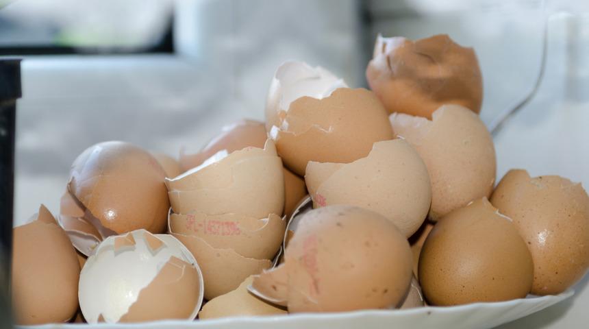 İşe yaramadığı yer yok! Yumurta kabuklarının hiç bilmediğiniz binbir faydası