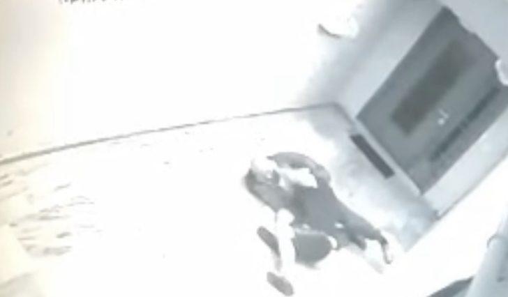 İstanbul'da kan donduran cinayet! Polis, katili kan izlerinden buldu G5