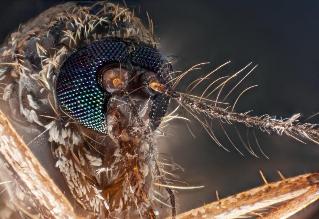 Her yıl 725 bin can alıyor! Duyunca şaşkına d&ouml;neceğiniz 10 ilgin&ccedil; bilgi!