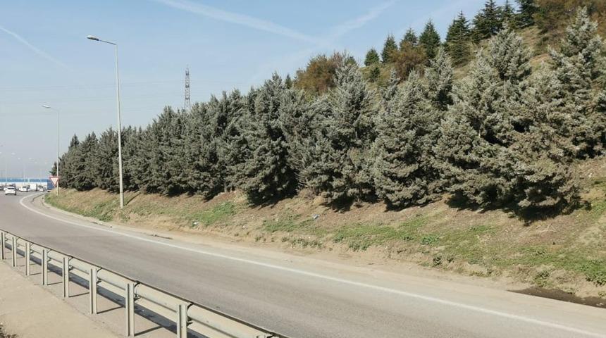 Yol kenarında baygın halde bulunan trans birey, hastanede öldü