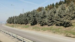 Yol kenarında baygın halde bulunan trans birey, hastanede öldü