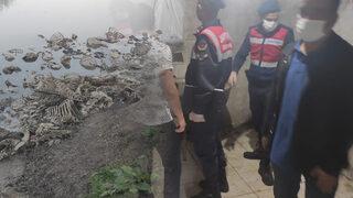 Düzce'de at kesip piyasaya süren baba ve oğlu suçüstü yakalandı