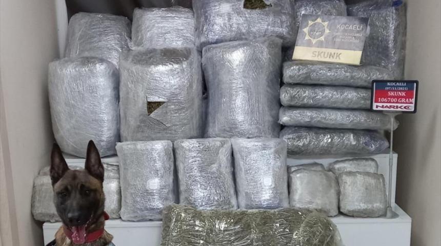 Kocaeli'de bir araçta yaklaşık 107 kilogram skunk ele geçirildi