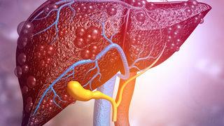 Karaciğer yetmezliği tedavisinde organ nakli hayat kurtarıyor