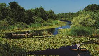 Sakarya'daki Acarlar Longozu atık su arıtma projesiyle korunacak