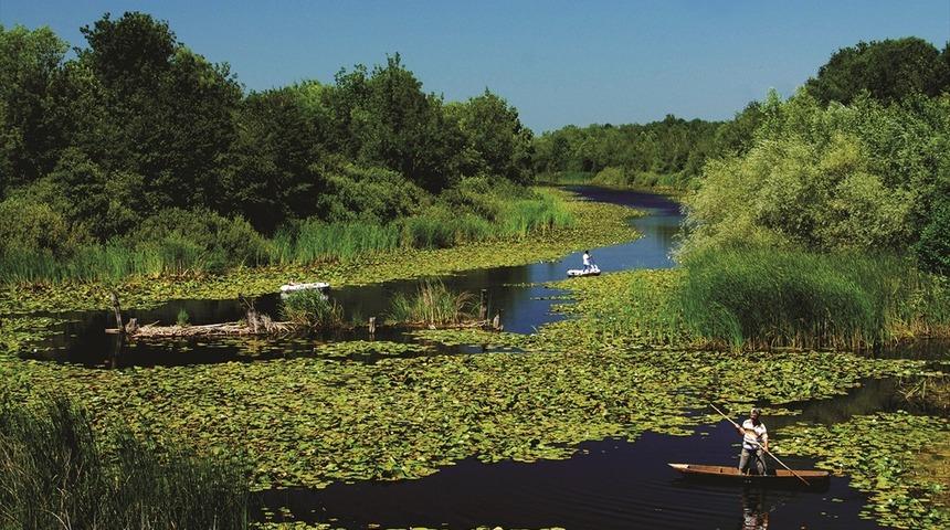 Sakarya'daki Acarlar Longozu atık su arıtma projesiyle korunacak
