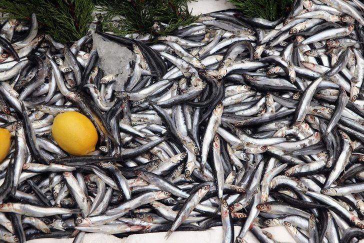 Edirne'de kilogramı 5 liradan satılan hamsi vatandaşlardan ilgi görüyor G2