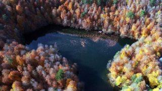 Yedigöller sonbaharda başka bir güzelliğe büründü! Ziyaretçilere eşsiz güzellikler sundu
