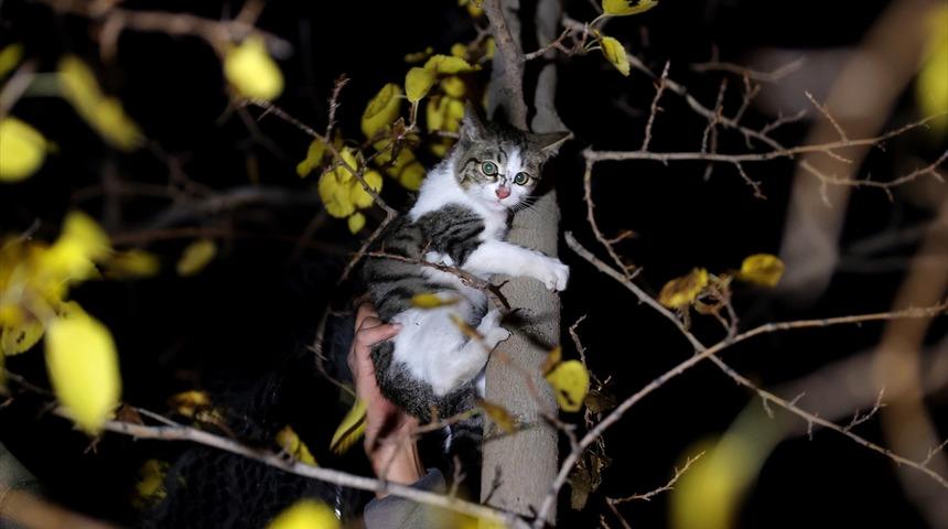 Edirne'de mahsur kaldığı yerden itfaiyenin kurtardığı kediyi mahalleli sahiplendi