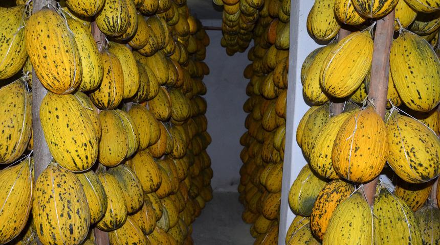 Ağustos ayından bu yana karanlıkta bekletiliyor! Kışlık sofralar için hazır