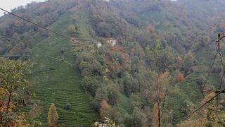 Rize'de tehlikeli yolculuk! Hayatları çelik tele bağlı: Karşıya dualarla geçiyoruz