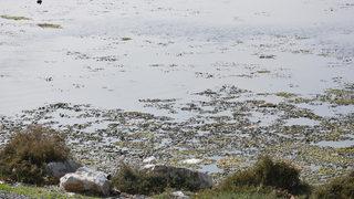 İzmir'de korkutan görüntü! 4'te 3'ünü kapladı