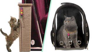 Evcil hayvan sahiplerinin hayatlarını kolaylaştıracak ürünler