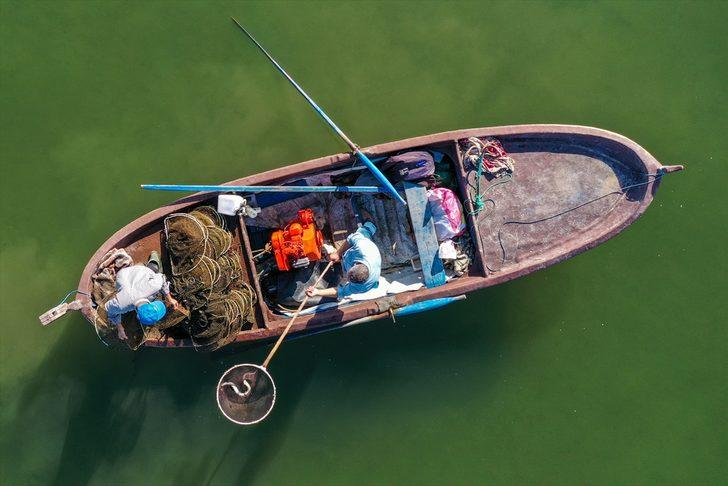 Yılan balığının Meksika'dan Türkiye'ye 7 bin kilometrelik yolculuğu G1