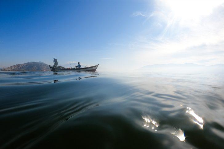 Yılan balığının Meksika'dan Türkiye'ye 7 bin kilometrelik yolculuğu G2