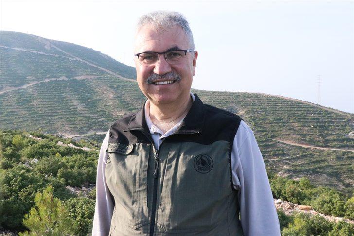 Foça'da 4 yıl önce yanan ormanlık alan fidanlarla yeniden yeşerdi G3