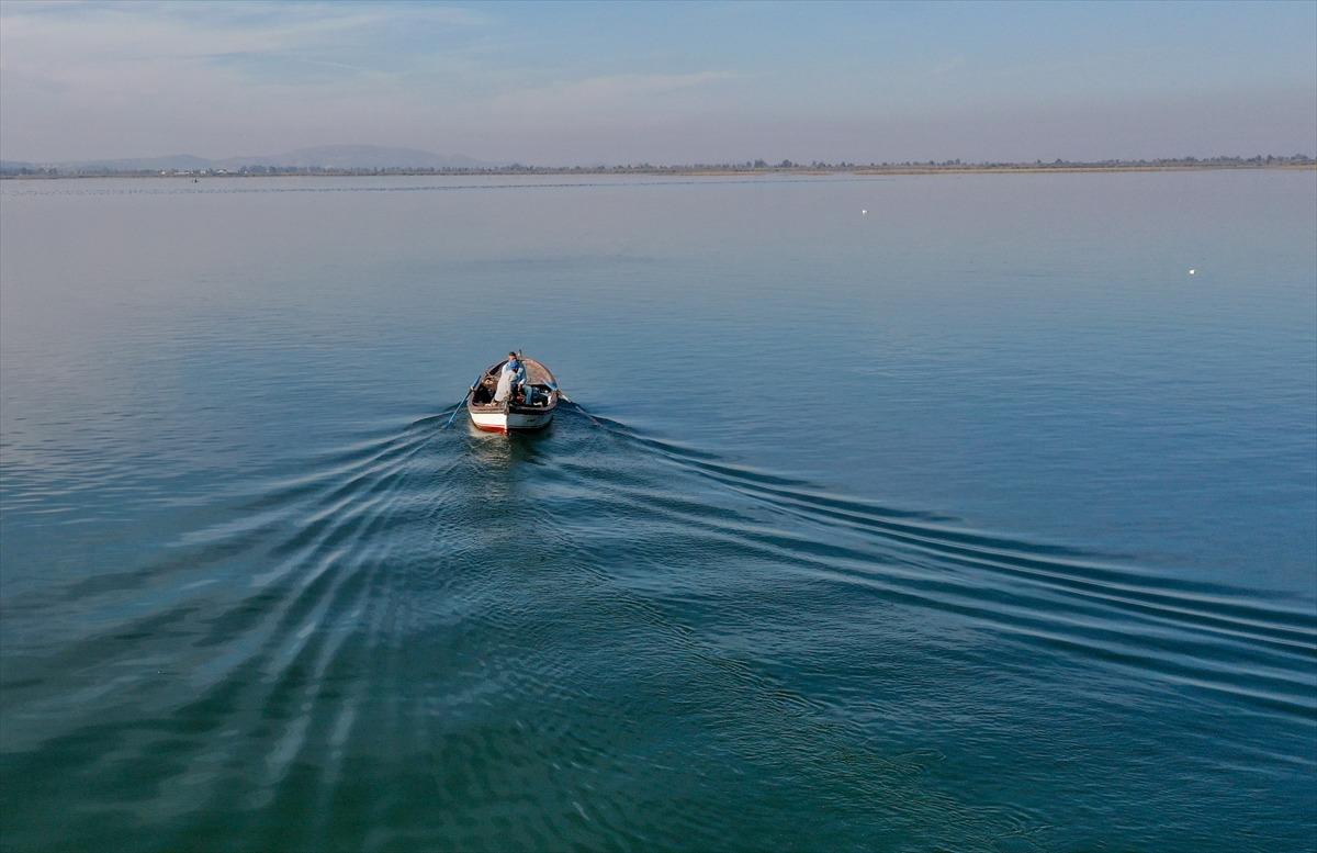 Yılan balığının Meksika'dan T&uuml;rkiye'ye 7 bin kilometrelik yolculuğu
