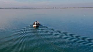 Yılan balığının Meksika'dan Türkiye'ye 7 bin kilometrelik yolculuğu