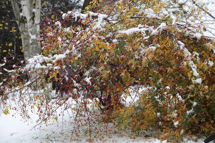 Abant'ta sonbahar ve kış bir arada yaşanıyor G1