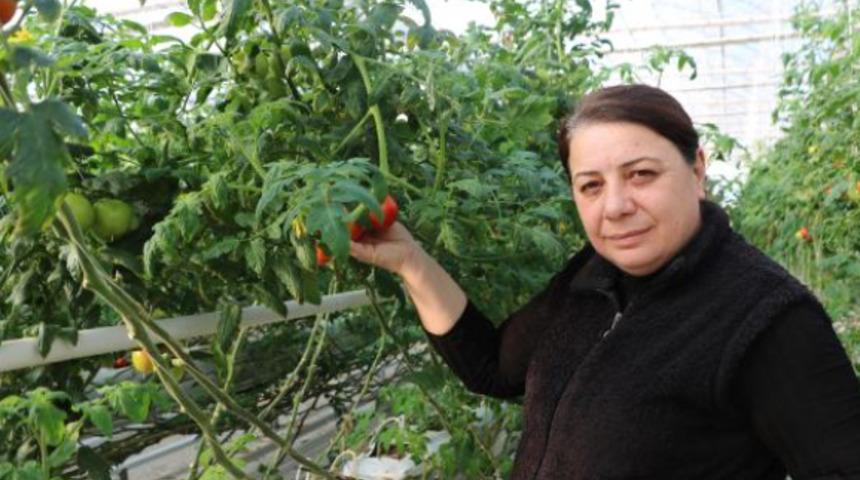 Kaplıca suyuyla büyütüyorlar! 10 ülkeye ihraç edip, 6 milyon euro gelir elde ettiler