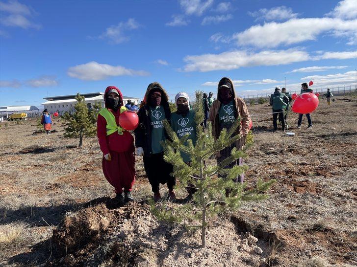 İç Anadolu'da "Milli Ağaçlandırma Günü"nde fidanlar toprakla buluşturuldu G1