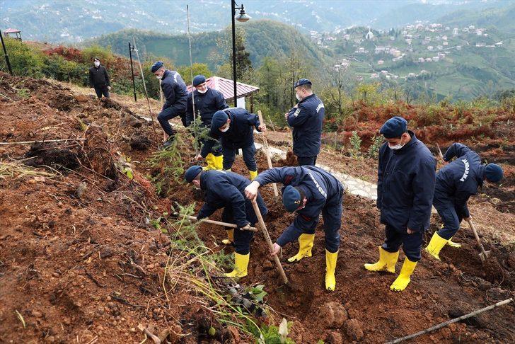 Karadeniz'deki 5 ilde Milli Ağaçlandırma Günü'nde fidanlar toprakla buluşturuldu G2