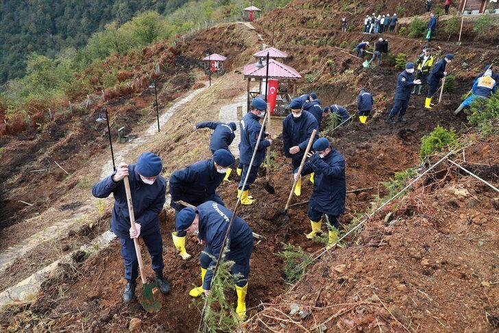 Karadeniz'deki 5 ilde Milli Ağaçlandırma Günü'nde fidanlar toprakla buluşturuldu G3