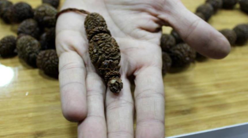 Dünyada eşi benzeri yok, 27 bin dolar verdiler satmadı