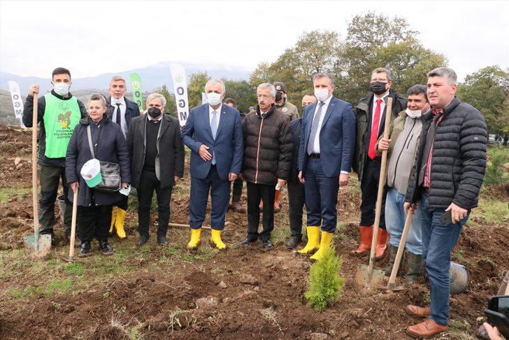 Karadeniz Bölgesi'nde binlerce fidan toprakla buluşturuldu G1