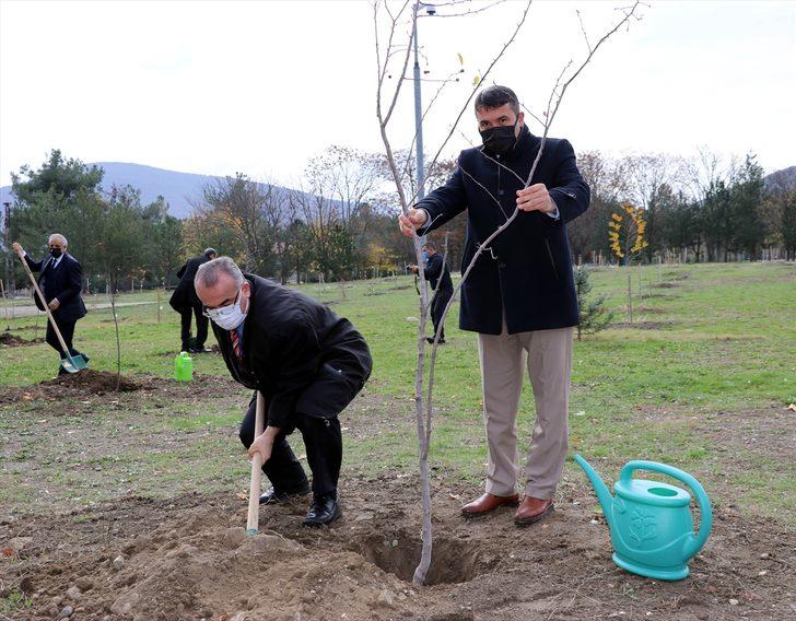 Karadeniz Bölgesi'nde binlerce fidan toprakla buluşturuldu G4