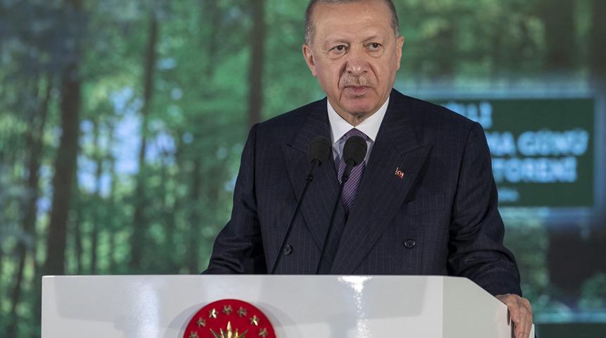  Erdoğan'dan orman yangınlarıyla mücadele için dünyaya çağrı