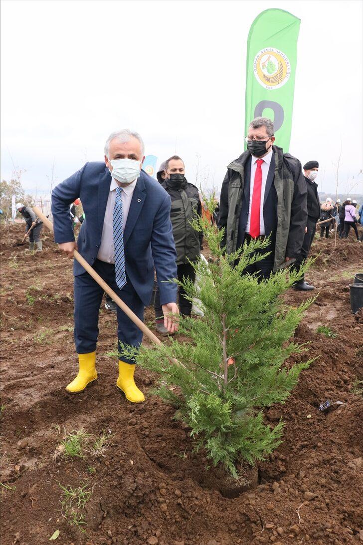 Karadeniz Bölgesi'nde binlerce fidan toprakla buluşturuldu G3