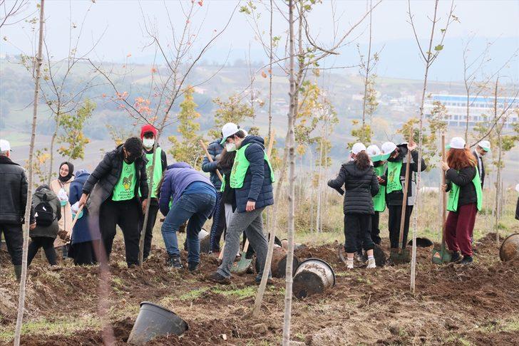Karadeniz Bölgesi'nde binlerce fidan toprakla buluşturuldu G5