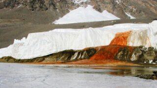 Yıllarca gizemini korudu! Beyazlığın tam ortasından akan Kan Şelalesi merak uyandırıyor