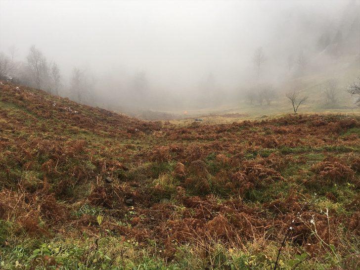 Rize'de kurtarma çalışmasına katılan jandarma aracı uçuruma yuvarlandı G3