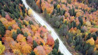 Türkiye’nin en büyük blok ormanlarının bulunduğu Karabük’teki sonbahar manzarası herkesi büyüledi
