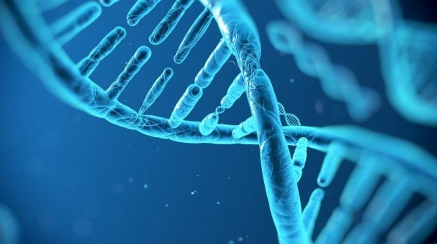 Ağrı hissetmemeye neden olan genetik kusur saptandı