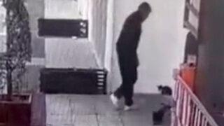 Bursa’da İnsanlık ölmüş dedirten anlar! Kedi mamasının kutusunu çaldı