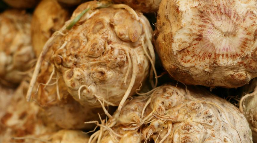 Her şey en taze haliyle güzel! İşte kasım ayında tüketebileceğiniz meyve ve sebzeler