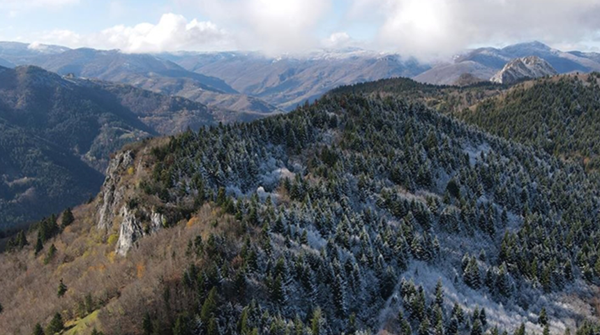 İki mevsim bir arada yaşanıyor! Küre Dağları'nın bir yanı sonbahar bir yanı kış