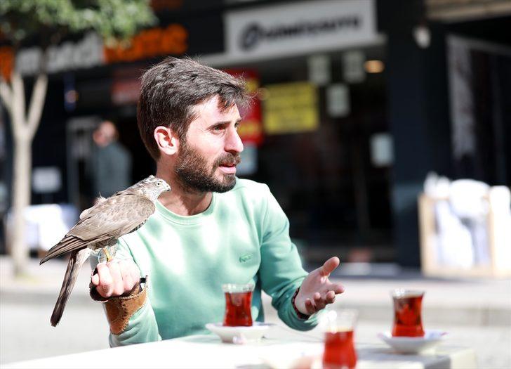 Sahiplendiği atmaca yavrusunu bir an bile yanından ayırmıyor G3