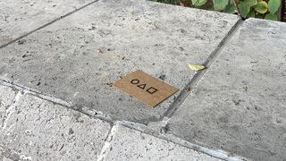 Denizli'de Squid Gameli sosyal deney! 15 günde 10 binden fazla kişinin bilgilerine sahip oldular