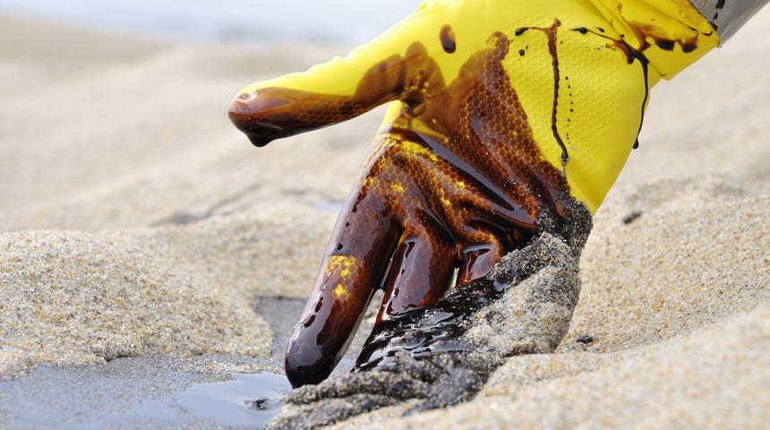 Murat Nehri'nde ekmek kavgası