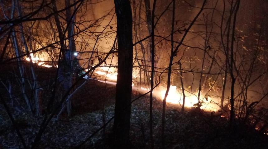Osmaniye'de çıkan orman yangınına karadan müdahale ediliyor