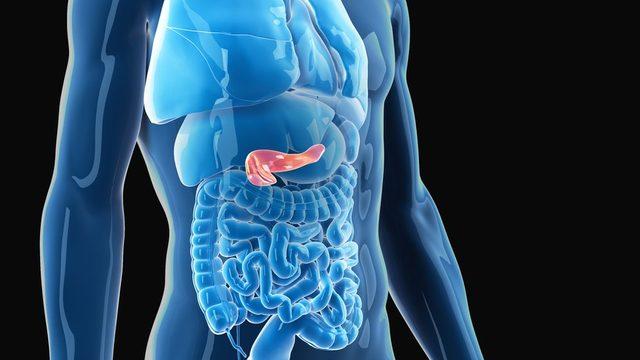 Diyabet nedir ve nasıl başa çıkılır? 2