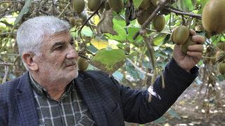 Kivi hasadı başladı! 1 sezonda 280 bin lira kazandı