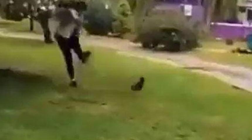 Kedi tekmeleyen Irak uyruklu çocuk tutuklandı