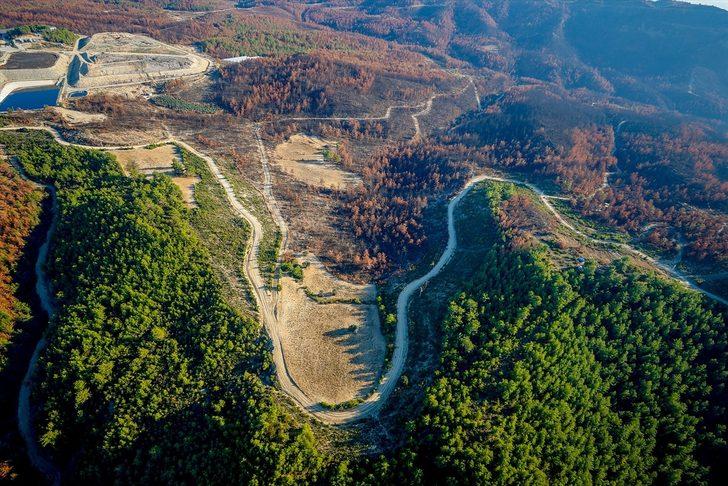 Yanan ormanlarda hüzünlü sonbahar G2